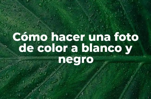Cómo Hacer una Foto de Color a Blanco y Negro