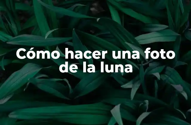 Cómo Hacer una Foto de la Luna