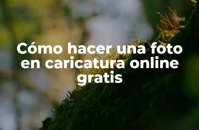 Cómo Hacer una Foto en Caricatura Online Gratis