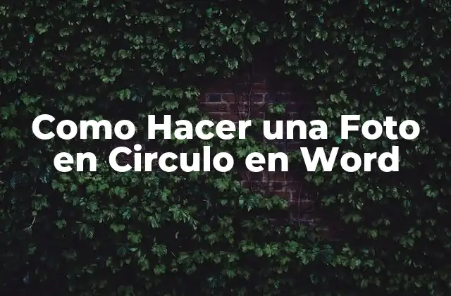 Como Hacer una Foto en Circulo en Word