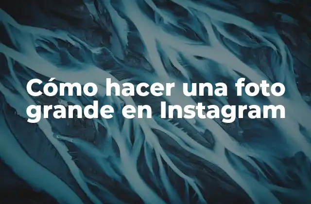 Cómo Hacer una Foto Grande en Instagram