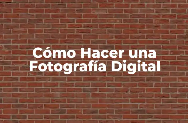 Cómo Hacer una Fotografía Digital