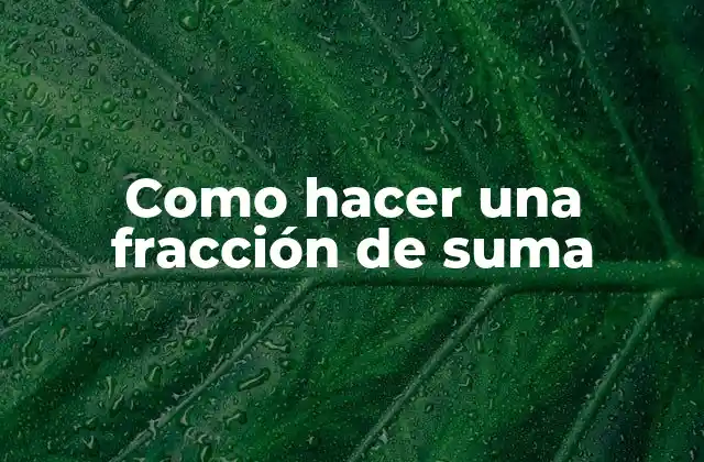 Como Hacer una Fracción de Suma 2 ¿Qué es una fracción de suma y para qué sirve?