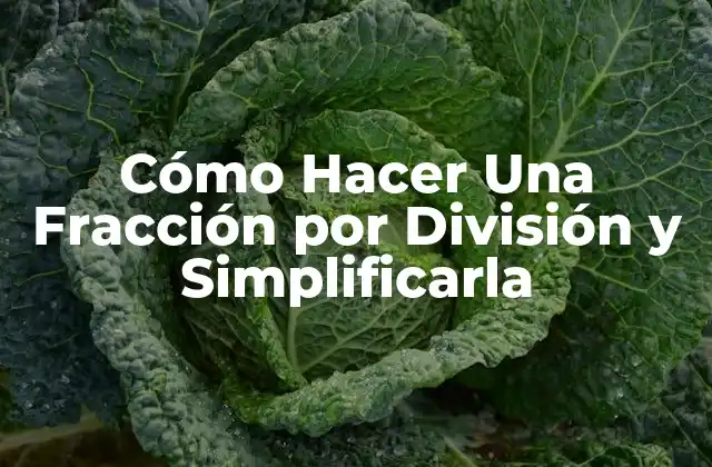 Cómo Hacer una Fracción por División y Simplificarla