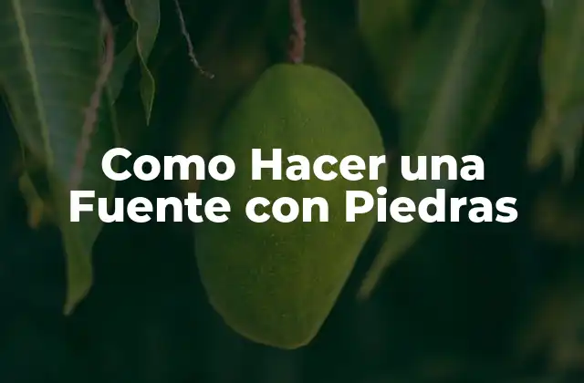 Como Hacer una Fuente con Piedras 2 Fuente con Piedras