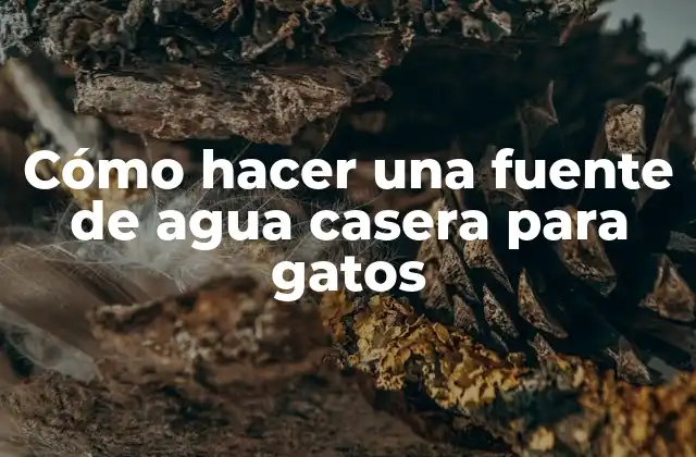 Cómo hacer una fuente de agua casera para gatos