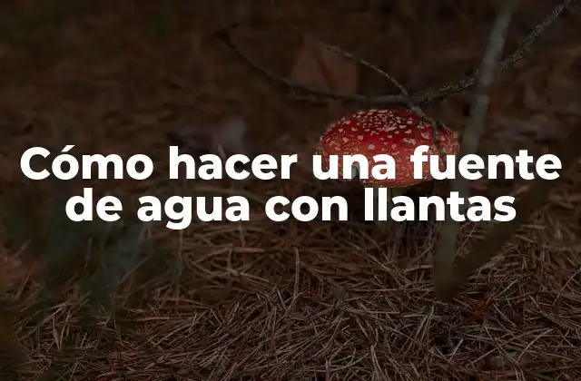 Cómo Hacer una Fuente de Agua con Llantas
