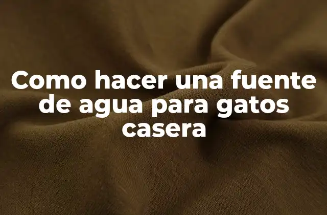 Como Hacer una Fuente de Agua para Gatos Casera