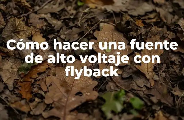 Cómo Hacer una Fuente de Alto Voltaje con Flyback