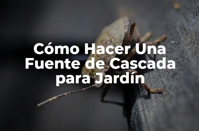 Cómo Hacer una Fuente de Cascada para Jardín