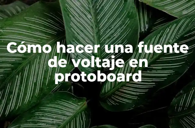 Cómo Hacer una Fuente de Voltaje en Protoboard