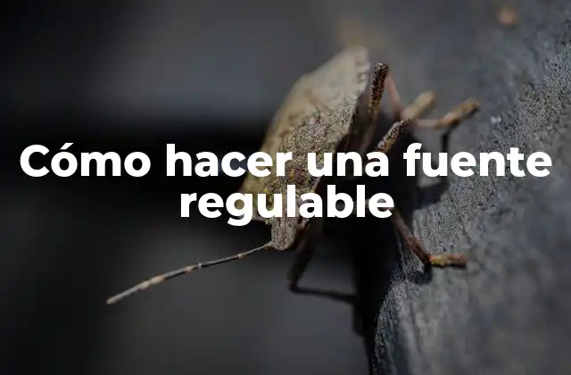 Cómo Hacer una Fuente Regulable
