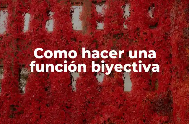 Como Hacer una Función Biyectiva