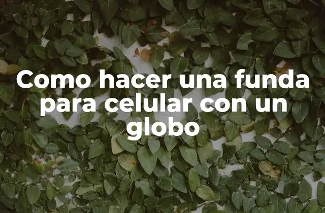 Como Hacer una Funda para Celular con un Globo
