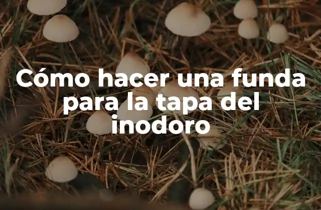 Cómo Hacer una Funda para la Tapa Del Inodoro