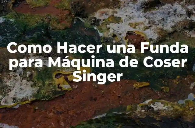 Como Hacer una Funda para Máquina de Coser Singer