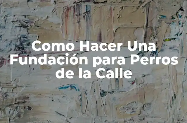 ¿Qué es una Fundación para Perros de la Calle y Para Qué Sirve?