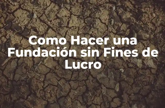 Como Hacer una Fundación sin Fines de Lucro