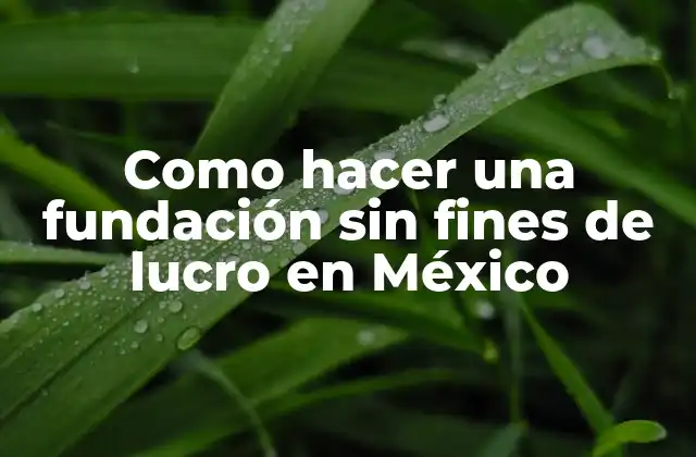 Como Hacer una Fundación sin Fines de Lucro en México