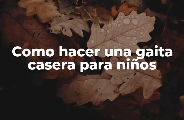 Como Hacer una Gaita Casera para Niños