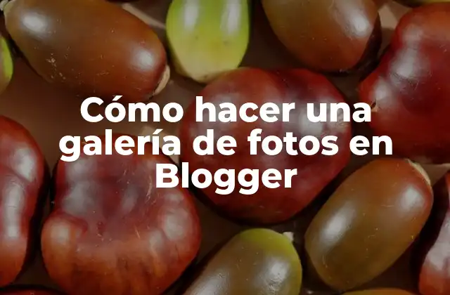 Cómo Hacer una Galería de Fotos en Blogger