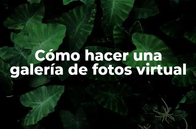 Cómo Hacer una Galería de Fotos Virtual