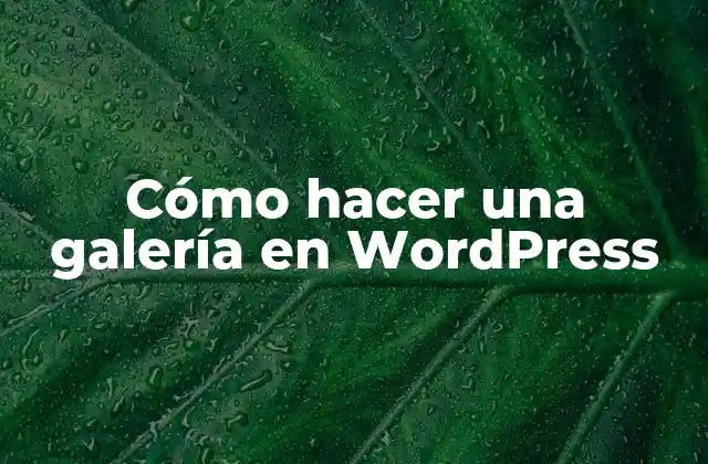 Cómo Hacer una Galería en WordPress