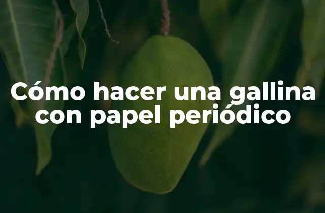 Cómo Hacer una Gallina con Papel Periódico