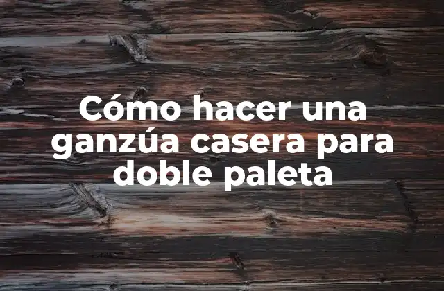 Cómo Hacer una Ganzúa Casera para Doble Paleta