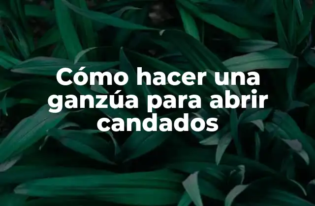Cómo Hacer una Ganzúa para Abrir Candados