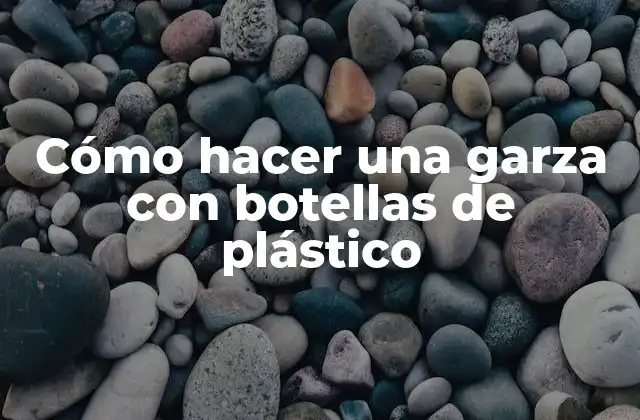 Cómo Hacer una Garza con Botellas de Plástico