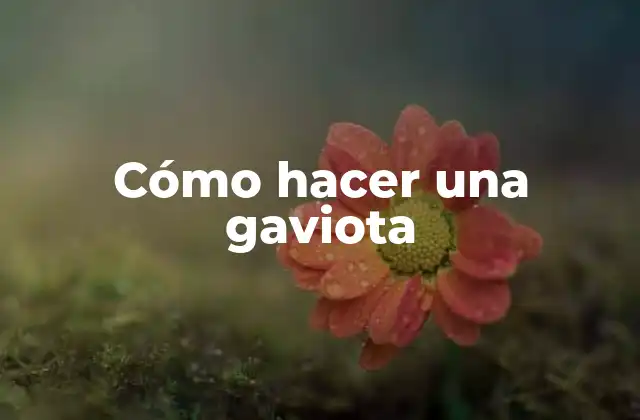 Cómo Hacer una Gaviota