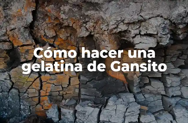 Cómo Hacer una Gelatina de Gansito