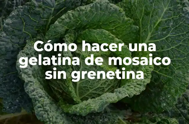 Cómo Hacer una Gelatina de Mosaico sin Grenetina