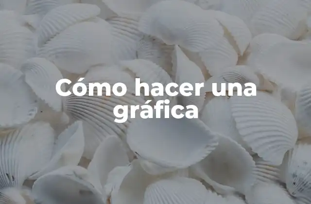 Cómo Hacer una Gráfica