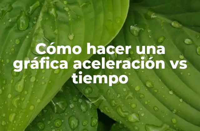 Cómo Hacer una Gráfica Aceleración Vs Tiempo