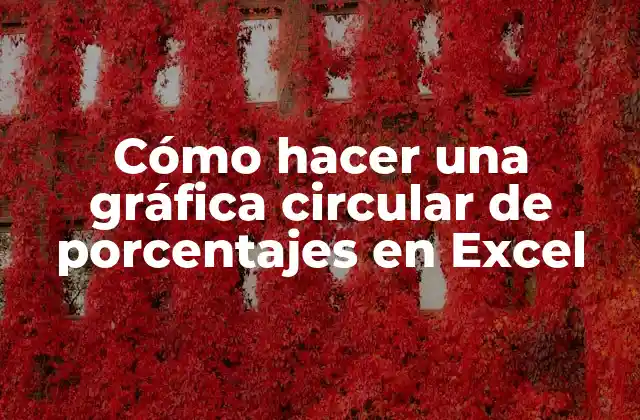 Cómo Hacer una Gráfica Circular de Porcentajes en Excel
