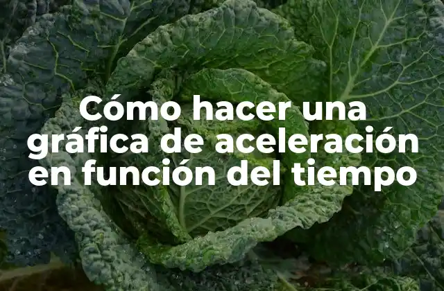 Cómo Hacer una Gráfica de Aceleración en Función Del Tiempo