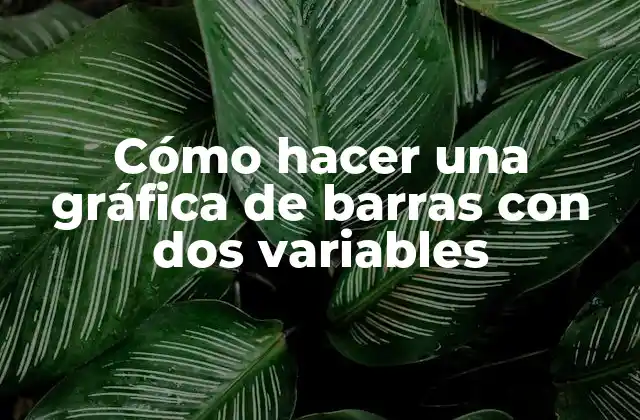 Cómo hacer una gráfica de barras con dos variables