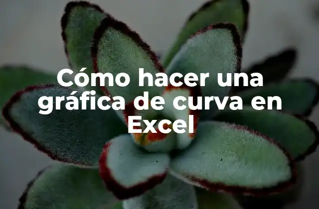 Cómo Hacer una Gráfica de Curva en Excel