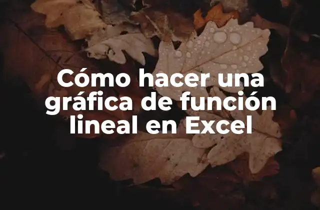 Cómo Hacer una Gráfica de Función Lineal en Excel