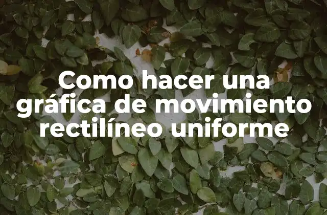 Como Hacer una Gráfica de Movimiento Rectilíneo Uniforme