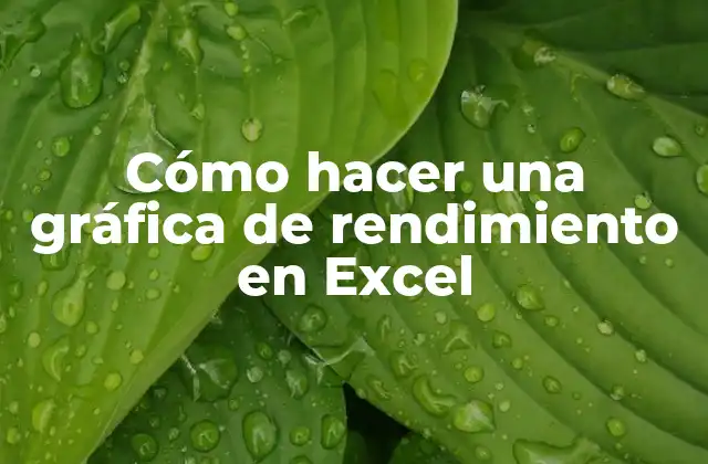 Cómo Hacer una Gráfica de Rendimiento en Excel