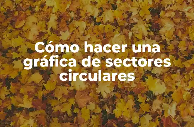 Cómo Hacer una Gráfica de Sectores Circulares