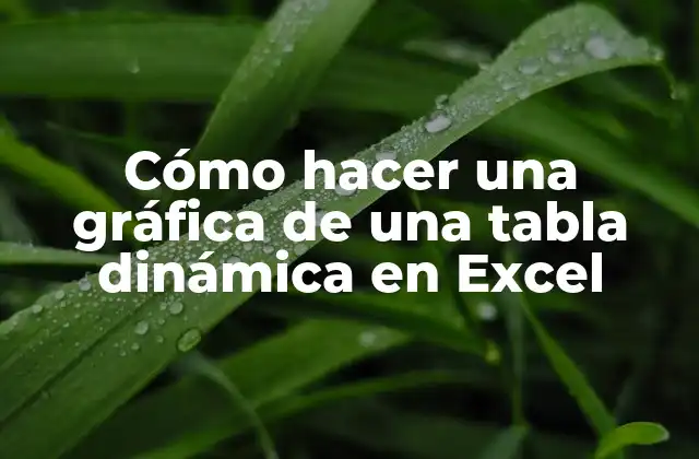 Cómo Hacer una Gráfica de una Tabla Dinámica en Excel