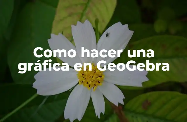 Como Hacer una Gráfica en Geogebra