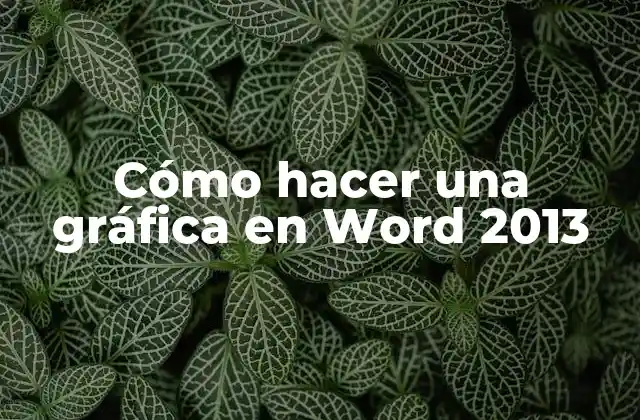 Cómo Hacer una Gráfica en Word 2013