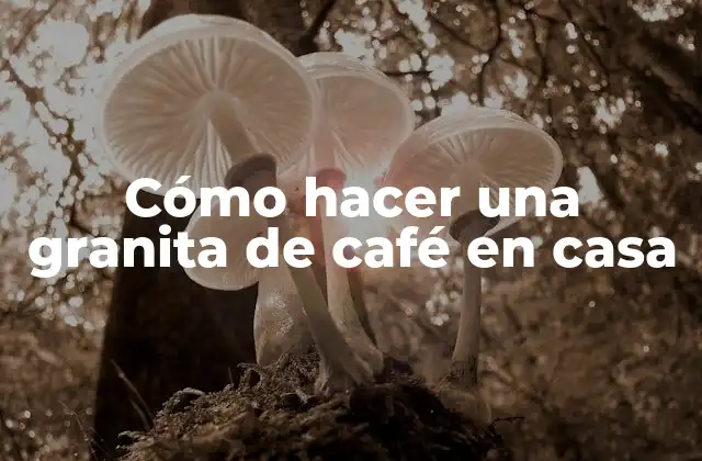 Cómo Hacer una Granita de Café en Casa