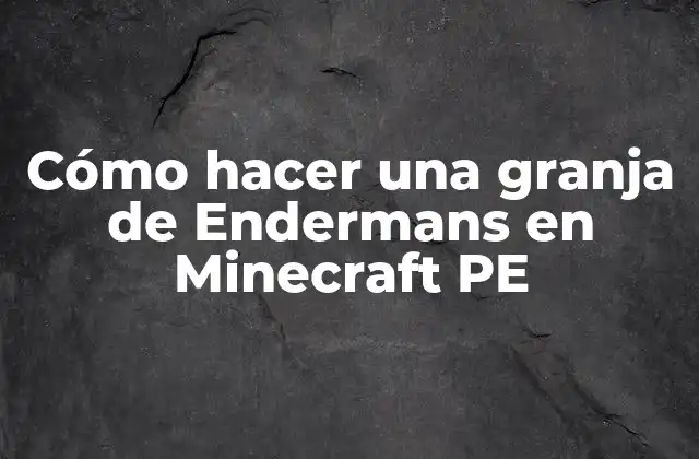 Cómo Hacer una Granja de Endermans en Minecraft Pe