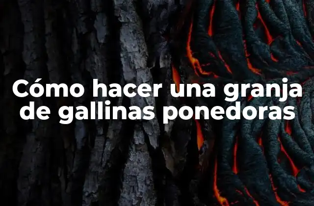Cómo Hacer una Granja de Gallinas Ponedoras